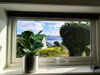 Aurora rooms in shared apartment nr1 We are doing privet northen light trip, reindeer trip and sommaroy Fjord trip - Tromsø - 7