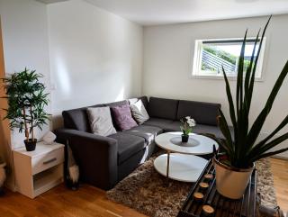 Aurora rooms in shared apartment nr2 We are doing privet Northen lights trips, reindeer trip and Fjord sommaroy trip - 7