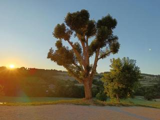 La Source Bleue - 9