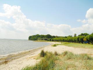 Katharina Whg 104 mit Terrasse - 3