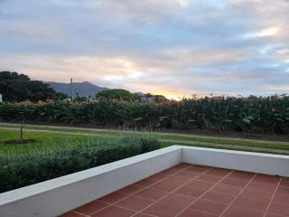 Wingrock Guesthouse - 5