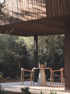 Prosilio olive tree houses - 4