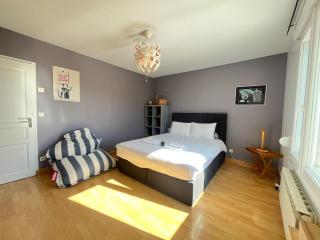 Les hauts de Merfy maison 5 chambres avec piscine - 4