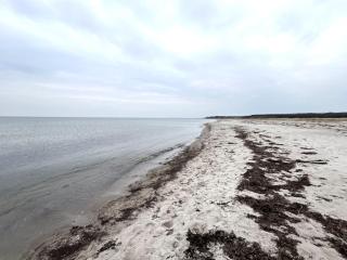 Holiday Home Antonina - 225m from the sea by Interhome - 6