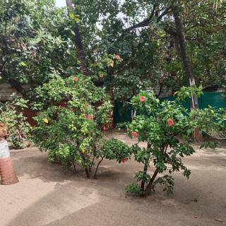 Ocean View Kihim - 4