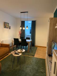 Nest24- cozy apartment with terrace and private garage - 9