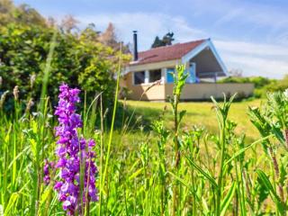 Holiday Home Henric - 75m from the sea by Interhome - 7