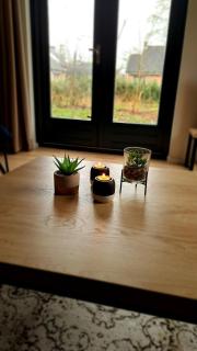 Forest VIP-bungalow at Groene Heuvels - Ewijk - 4