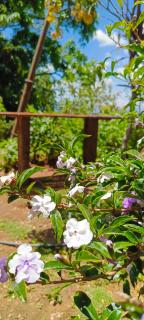Adisham village agro garden villa - Haputale - 0