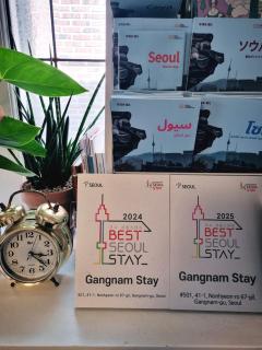 GangnamStay - Foreign Female Only - 7