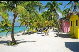 Tours a la isla saona - 8