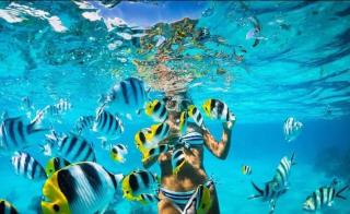 Tours a la isla saona - 7
