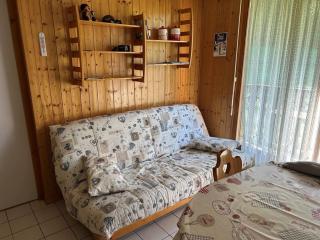 Appartement cosy 3 pièces pour 6 pers., proche télécabine Linga, balcon, garage, animaux admis - FR-1-676-158 - Châtel - 1