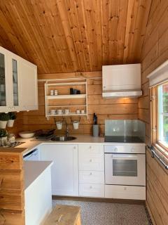 Log Cabin with hot-tub & Sauna, secluded location - 1