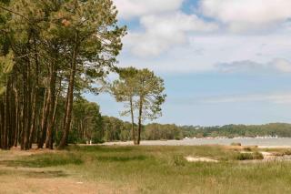 Slow Village Biscarrosse Lac - 6