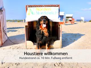 Ideal für Familien & Fellnasen, strandnah - 7