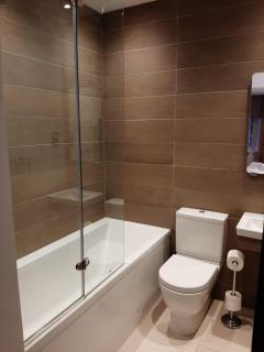 Luxury apartments in Mayfair, Garden view - 2