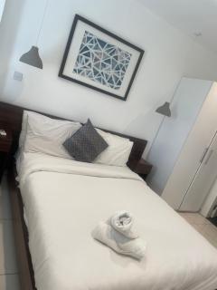 Afya's luxury Embassy Gardens home - 1