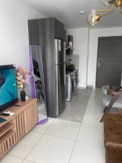 Afya's luxury Embassy Gardens home - 4