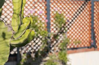 Central Apt with Jacuzzi exclusive use - 7