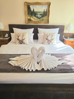 Hotel Elisabeth Ilse - 9
