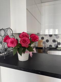 Apartament w centrum - 6