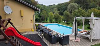 VILA LASOVIC + POOL + JACUZZI + SAUNA - 2