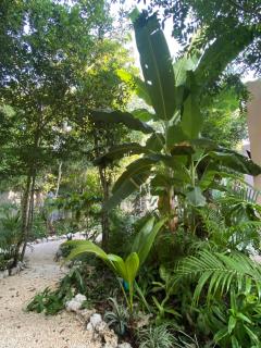 Modern Jungle Villa - 2