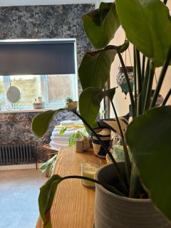 Number 78 Guest house M56 junction 12 located 5 minutes drive from Frodsham Continental breakfast Included Accommodation comprises of Large double bedroom Separate lounge with sky tv Large bathroom with a free standing bath and shower - 4