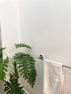 Appartement spacieux avec jardin - 2