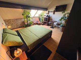 Casa Verde - Bruges - 7