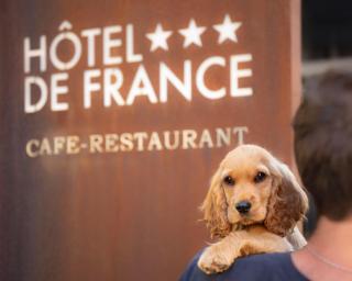 Logis Hôtel Restaurant de France - 4