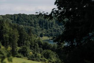 Ferienhaus Maarwinkel - 7