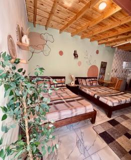 Nubian House Dahab - البيت النوبي دهب - 4