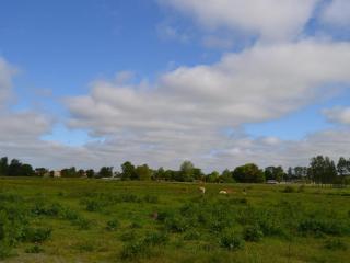 Holiday Home Josina - 32km from the sea by Interhome - 6