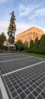 Apartament Magnolia - Centrum - 9