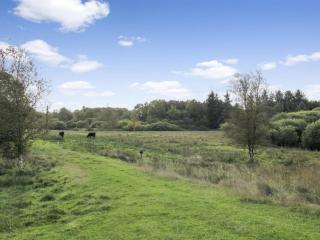 Holiday Home Terese - 45km from the sea by Interhome - 9