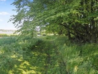 Apartment Beatha - 25km to the inlet by Interhome - 7