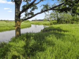 Apartment Beatha - 25km to the inlet by Interhome - 4