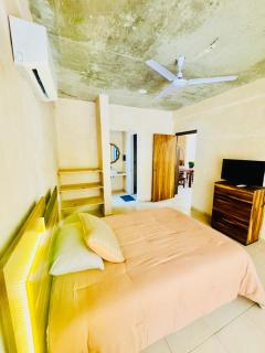 Casa Tachu - 1