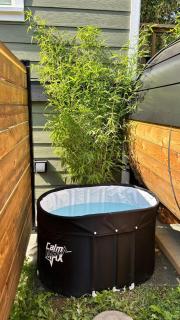 Cowichan Valley Retreat with Sauna & Free EV Charger - 8