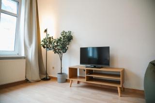Lichtdurchflutete Altbauwohnung direkt an der Oder - Francoforte sull'Oder - 7