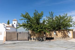 Villa Ortega Alba - 7