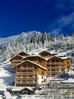 Crépines Appartement 2 à 4 personnes au pied des pistes - 6