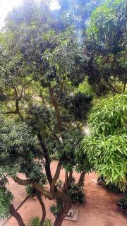 Apart inteiro ,6 minutos ate o mar - 9