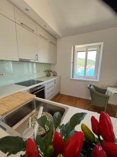 Fortuna House Vis - 4