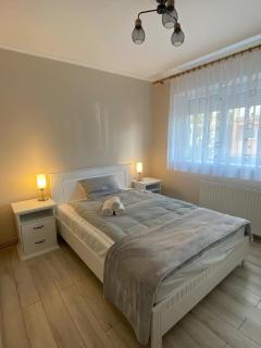 The Cozy Nest - Carei - 4