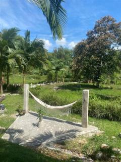 Família, Natureza e Liberdade - 5