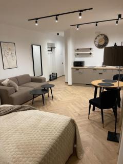 A stylish studio in the historic center of Riga - 9