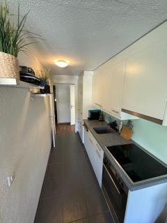 Modern Apartment in Davos - 5